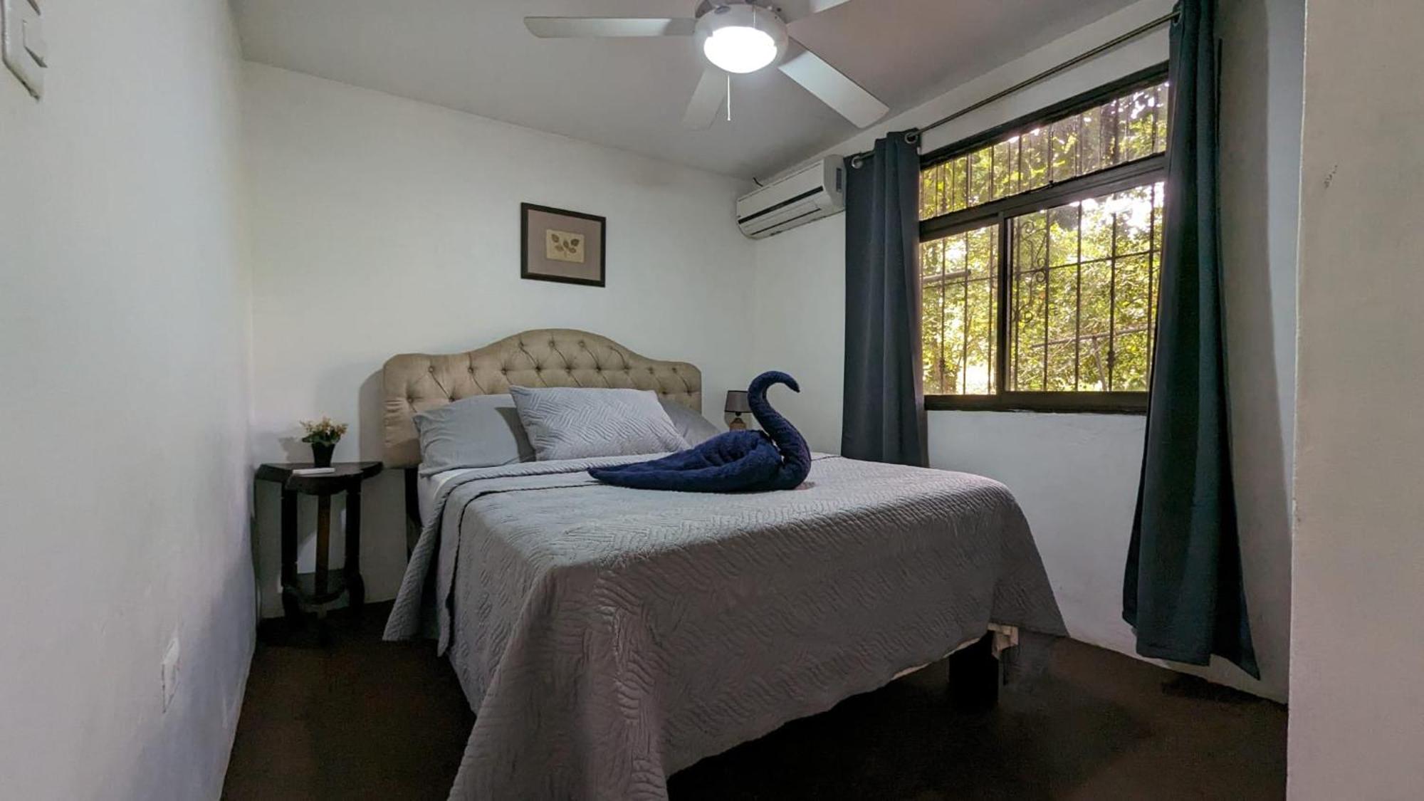 Iguana Street Houses Coco Luaran gambar