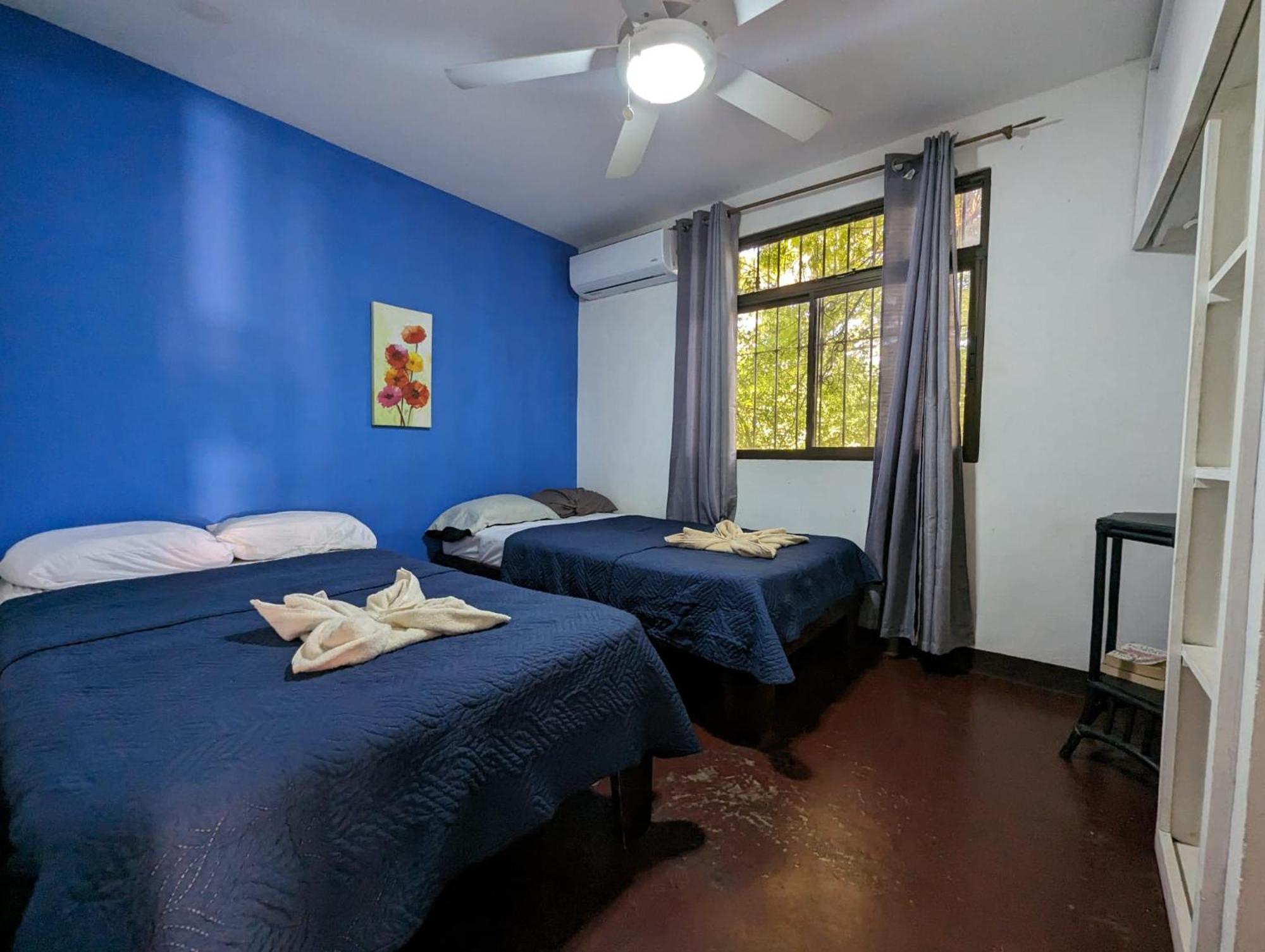 Iguana Street Houses Coco Luaran gambar