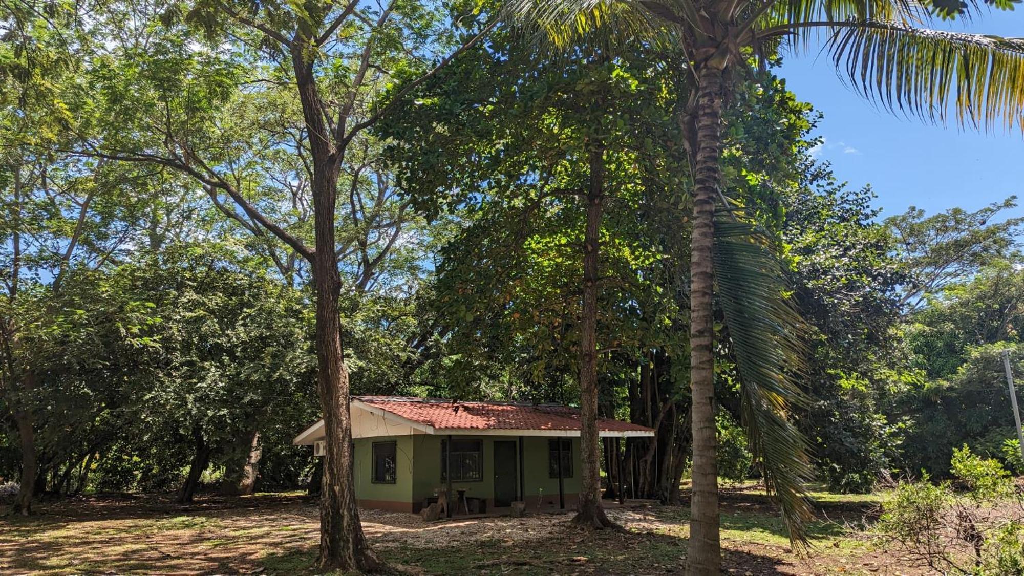 Iguana Street Houses Coco Luaran gambar